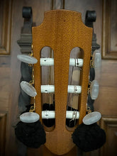 Load image into Gallery viewer, Lowden S25J - Jazz Series Nylon Crossover 2002-2003