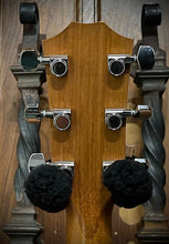 Load image into Gallery viewer, 2016 Taylor 210e DLX with ES2 Electronics OHSC