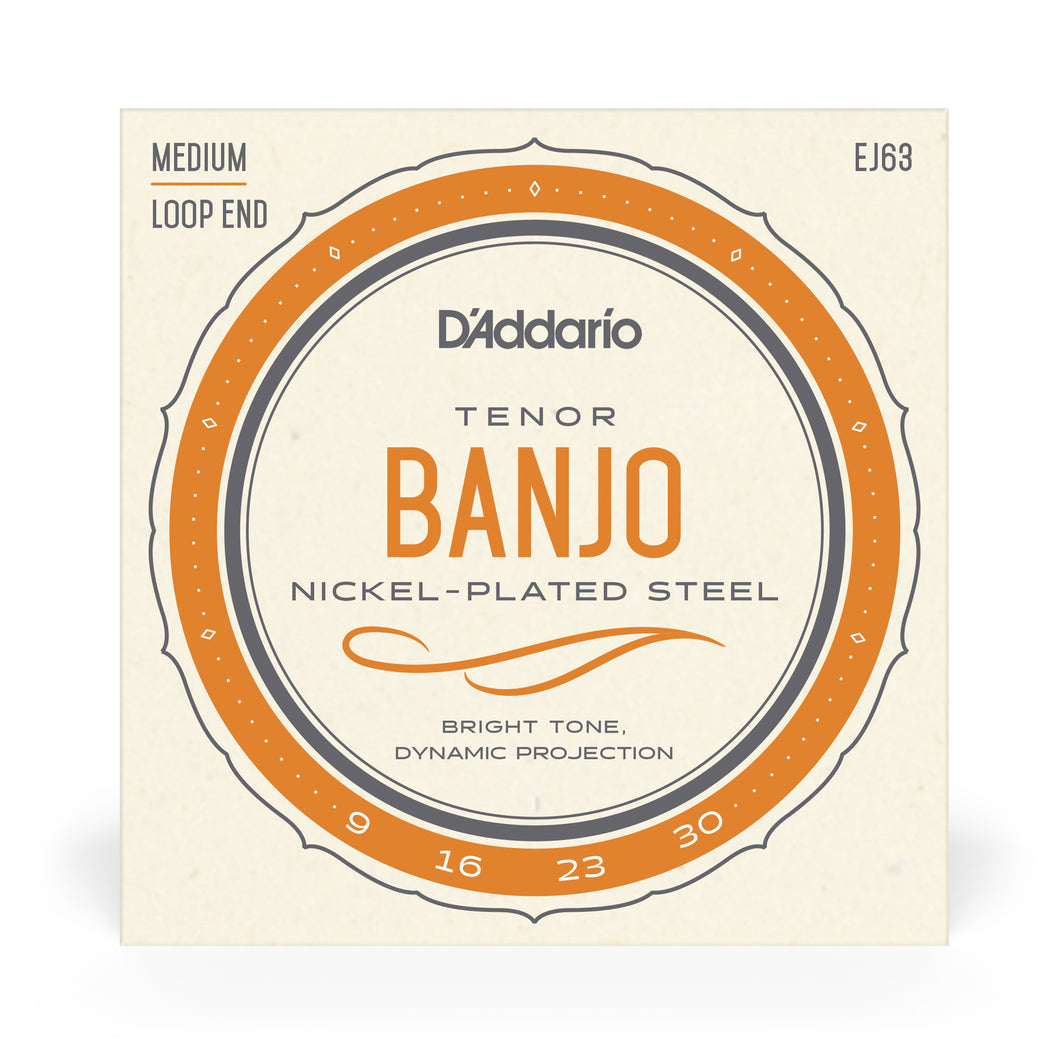 D'Addario EJ63 Tenor Banjo Nickle Plated 9-30 Loop End