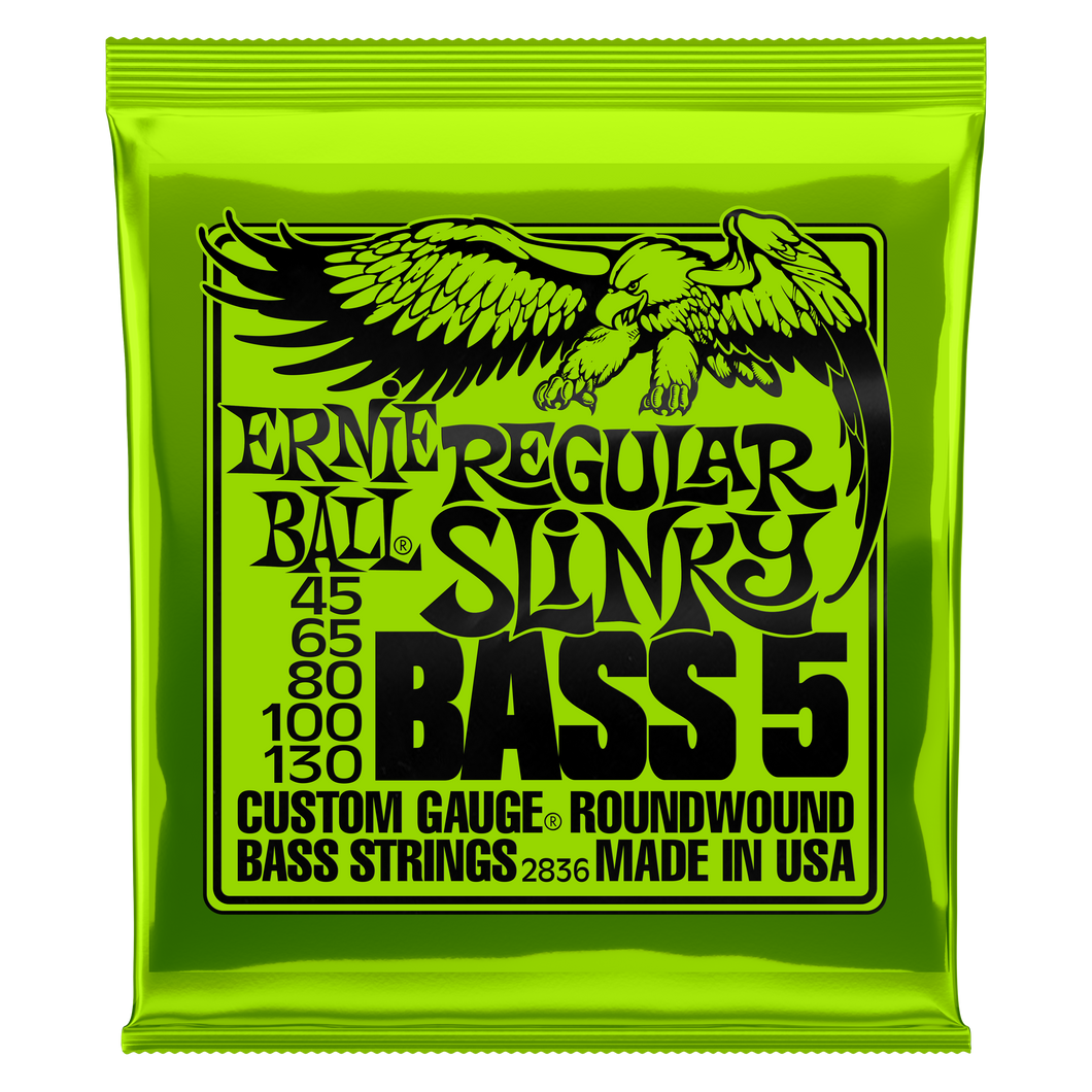 Ernie Ball Regular Slinky 5 string Bass 45-130