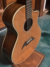 Load image into Gallery viewer, 2009 Breedlove American Series C25/CRe H (Cedar/ Rosewood/ Herring Bone)LR Baggs PUP
